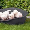 Lettino aperto per cani e gatti con bordo ergonomico Sleeper
