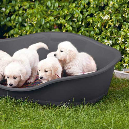 Lettino aperto per cani e gatti con bordo ergonomico "Sleeper"