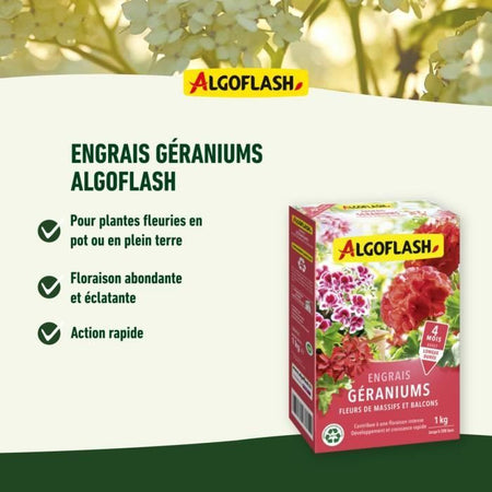 Fertilizzanti di geranio, fiori di letti e balconi - Algoflash naturasol - 1 kg