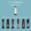 Fusibile per bottiglia in metallo da 1 litro - SODASTREAM