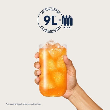 Set di 6 Aroma Concentrati SODASTREAM CITRUS - 440ml
