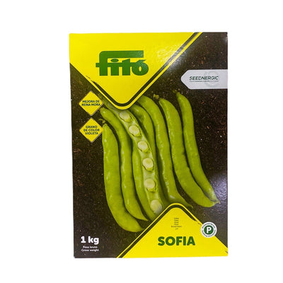 Fava Sofia Kg.1 Semi Fito