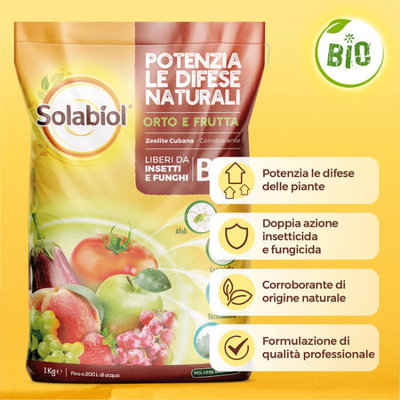 Zeolite Cubana Polvere di Roccia Kg 1 Corroborante Sostanza di Origine Naturale Solabiol SBM