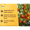Fertilizzante agli agrumi SOLABIOL SOAGY15 - 1,5 Kg