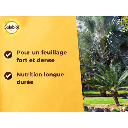 SOLABIOL SOPALMY15 Fertilizzante Palme E Piante Mediterranee - 1,5 Kg