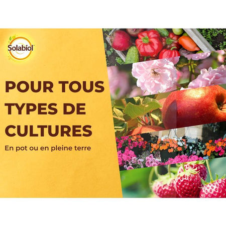 SOLABIOL - Fertilizzante liquido completo - Prezzo di shock - Tanica da 1L - UAB