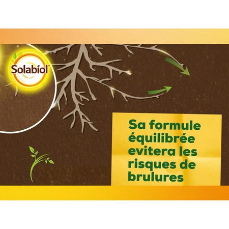 SOLABIOL - Fertilizzante liquido completo - Prezzo di shock - Tanica da 1L - UAB