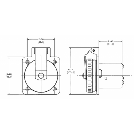 Spina Inox 50 Amp.