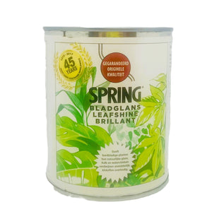 Spring Lucidante Fogliare Lt.1 Emulsione Concentrata SPRING