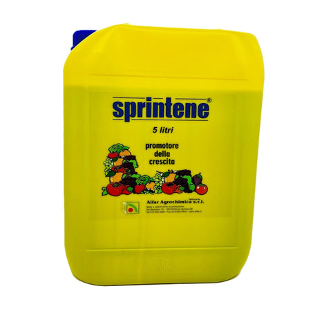Sprintene Lt.5 Promotore della Crescita Concime Borato in Soluzione (da Boroetanolammina) Aifar