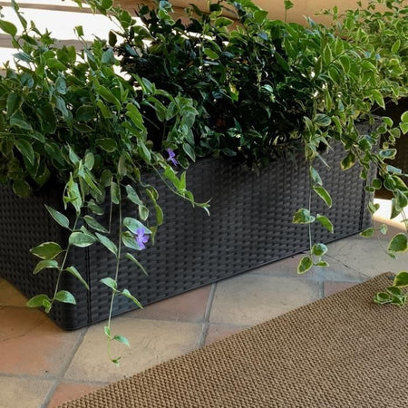 Bac fiori rett. antracite