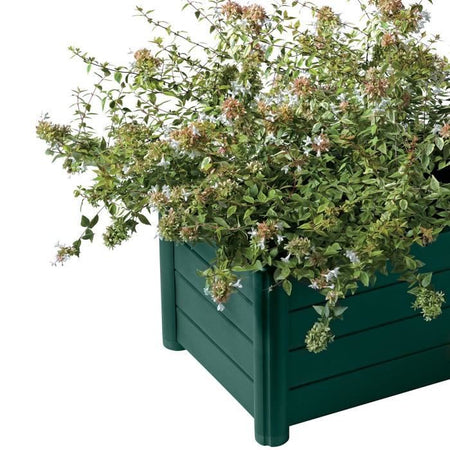 Bac fiori rett. verde