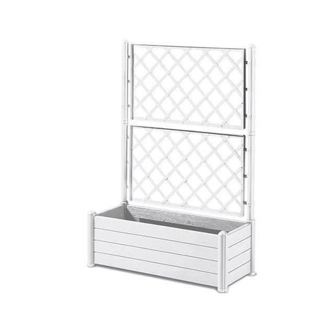 Bac + traliccio del fiore bianco