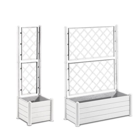 Bac + traliccio del fiore bianco