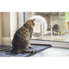 lembo Microchip cat