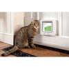 lembo Microchip cat