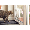 lembo Microchip cat