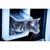 Big cat chip di falda