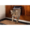lembo Microchip cat