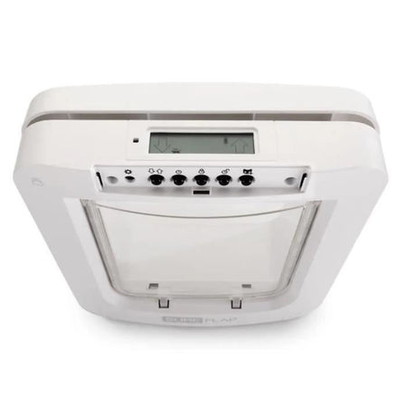 lembo Microchip cat