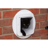 lembo Microchip cat