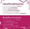 Acerola in polvere