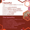 Bacche di Goji disidratate