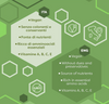 CHLORELLA BIO in compresse