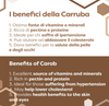 Farina di Semi di Carrube