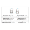 Sedia per WC BA CARCOMODA Allmobility