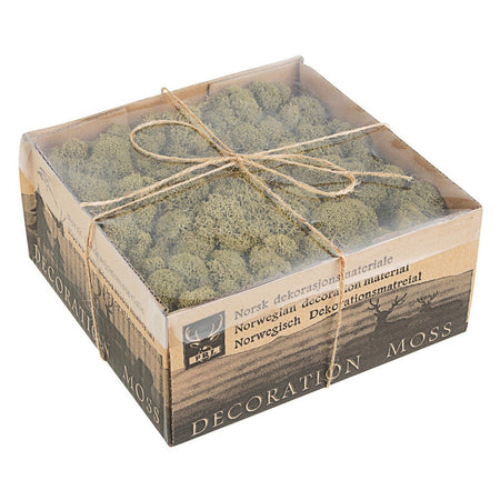 Muschio stabilizzato, Lichene atossico e Privo di Acidi