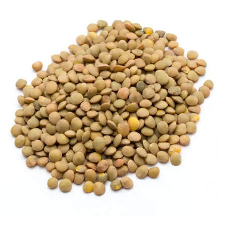 Semi di Lenticchie piante per orto e giardino coltivazione domestica e professionale