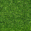 Semi di prato rustico piante per orto e giardino coltivazione domestica e professionale kg 1
