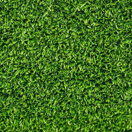 Semi di prato rustico piante per orto e giardino coltivazione domestica e professionale kg 1
