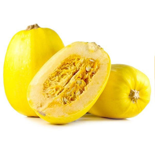 Semi di zucca a spaghetti piante speciali per orto e giardino coltivazione domestica e professionale