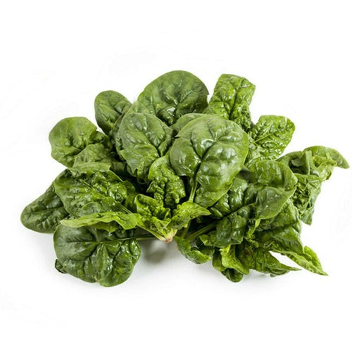 Semi di spinacio riccio d'America piante per orto e giardino coltivazione domestica e professionale kg 0,5
