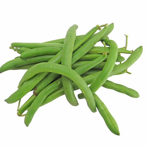 Semi di fagiolo Nano mangiatutto slenderette piante per orto e giardino coltivazione domestica e professionale kg 0,5