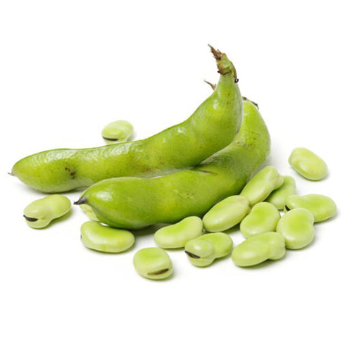 Semi di fava superaguadulce piante per orto e giardino coltivazione domestica e professionale kg 1