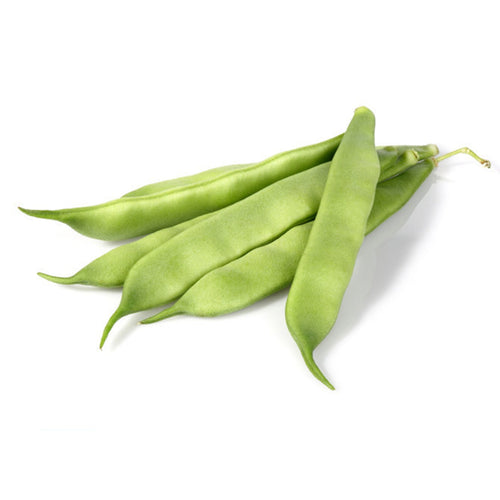 Semi di fagiolo nano Mangiatutto Nassau piante per orto e giardino coltivazione domestica e professionale