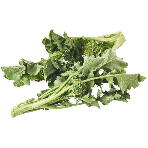 Semi di cima di Rapa Fasanese piante per orto e giardino coltivazione domestica e professionale kg 0,5