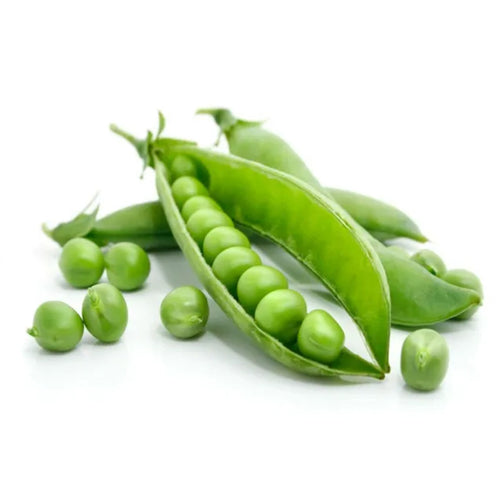 Semi di pisello a grano rugoso rondo  piante per orto e giardino coltivazione domestica  kg 0.5e professionale