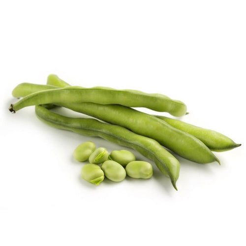 Semi di Fava aguadulce supersimonia piante per orto e giardino coltivazione domestica e professionale kg 1