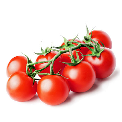 Semi di pomodoro Tondino maremmano piante per orto e giardino coltivazione domestica e professionale