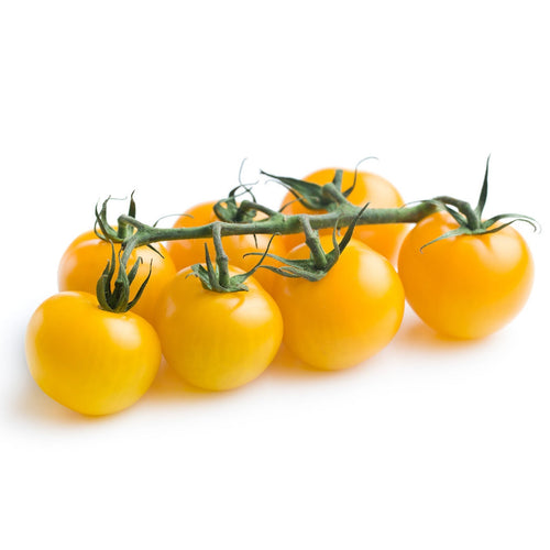 Semi di pomodoro Ponderosa piante per orto e giardino coltivazione domestica e professionale