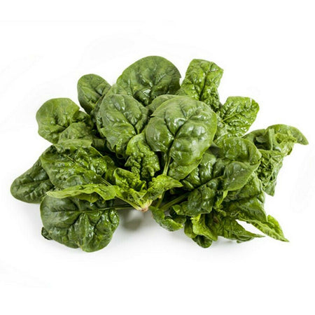 Semi di spinacio "Gigante d'inverno" piante per orto e giardino coltivazione domestica e professionale