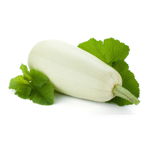 Semi di zucchino Bianco di Trieste piante per orto e giardino coltivazione domestica e professionale