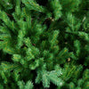 Albero di natale Jackson Hole in 100% PE di Altissima qualità