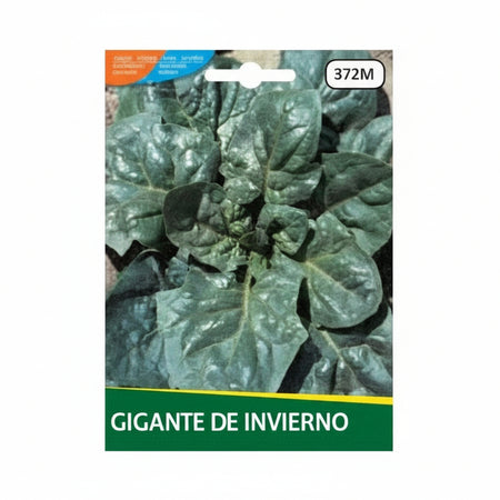 Spinacio Gigante De Inverno gr.8 Semi La Semiorto Sementi