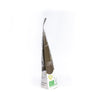 Spirulina biologica, 300 capsule da 360 gr