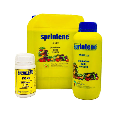 Sprintene Lt.1 Promotore della Crescita Concime Borato in Soluzione (da Boroetanolammina) Aifar